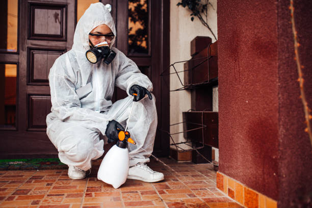 Reliable Cockroach Control contractor in Wake Village, TX by Nex Pest Control